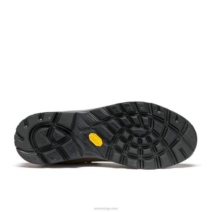 nei Asolo finner gv menn cortex/stein 8BH2163